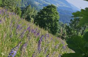 Na Jedwabnej - Foto 18