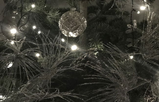 Scalby Grove Cottage Stunning 3 Bed Cottage - Foto 8