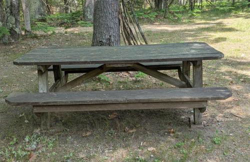 The Hideout - Cute and Quiet Rustic Cabin! - Foto 10