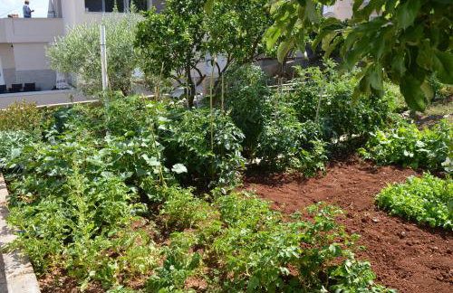 Apartman Talija - Foto 23