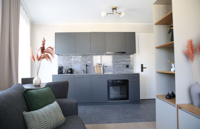 Lamira Serviced Apartments Zurich City - Foto 43