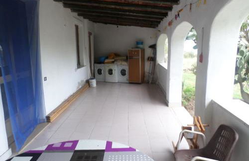 Pinnettu sardo tipica abitazione sarda in ecosistema insetti e animaletti simpatici in condivisione bagno esterno a 10metri Leggere attentamente Prima di prenotare - Foto 43