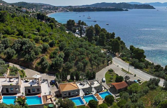 Golden King - Foto 47