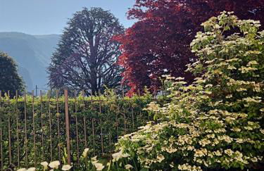 Perla house - Foto 15