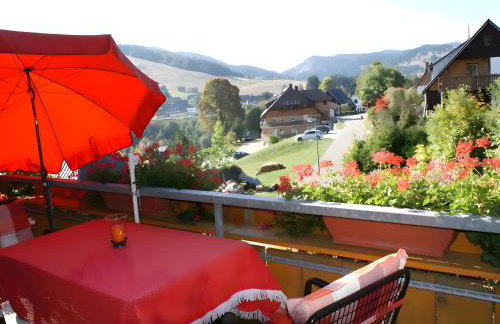 Haus Rosenfelder Fewo Abendsonne - Foto 17