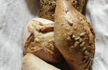 Moderne große Wohnung in herrlichem Naturgrundstück - Foto 52