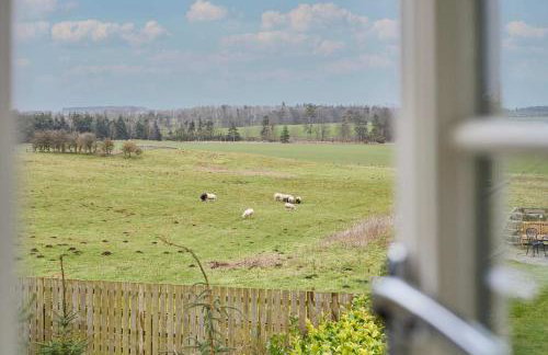 Host & Stay - The Fold - Foto 59