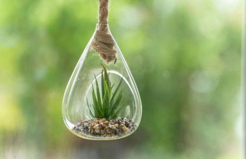 Ferienwohnung Putzer - Foto 38