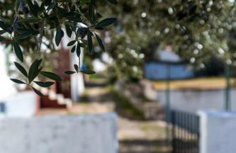 Casa del Ingeniero ,4 Hab 8 Pers 3 Chimeneas con horno,alberca - Foto 18