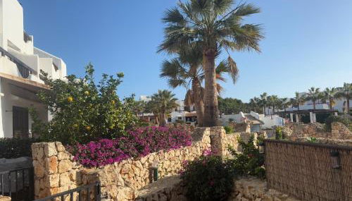 Hippie und Famila Paraiso - Foto 3, Garden, Garden view