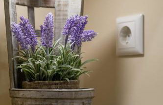 First View Apartment - Foto 43