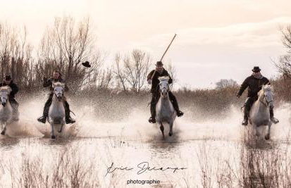 Mas Du Pont Rouge - Foto 49