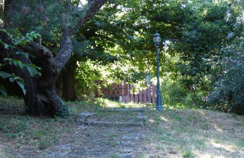 Los Prejones - Photo 27