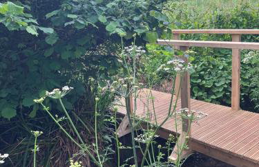 Beach House - Photo 24