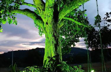 apartamento em serra negra - bezerros - Foto 21