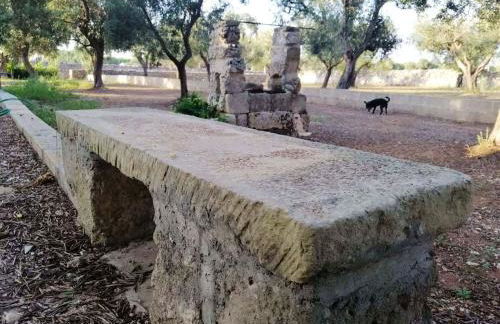 Charming House Muro Leccese + Terrace - Foto 16