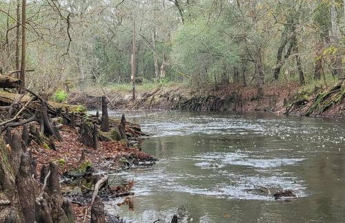 River Daze Cabin - A cozy cabin right on the river - Foto 20