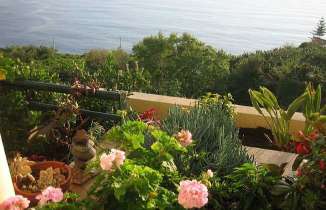 Apartamento do Sol - ETC Madeira - Foto 30