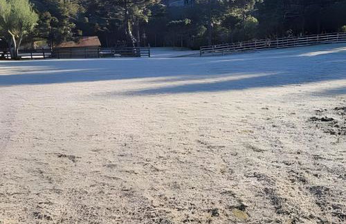 Cabana Pequeno Bosque som dás Águas - Foto 49