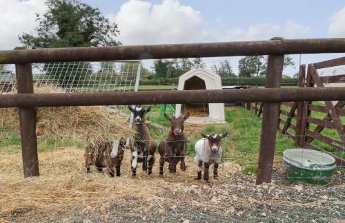 The Pod at Bank House Farm - Photo 12