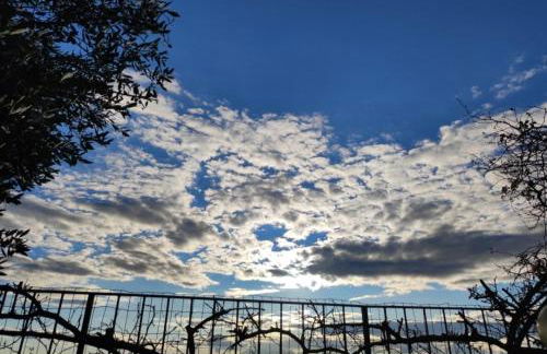HILLS by Bibi Le Crete Senesi - Foto 34