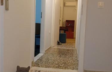 KP Apartments - Foto 31