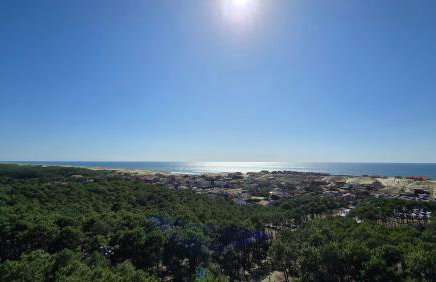 Villa Canopy entre pins et plage - Foto 20