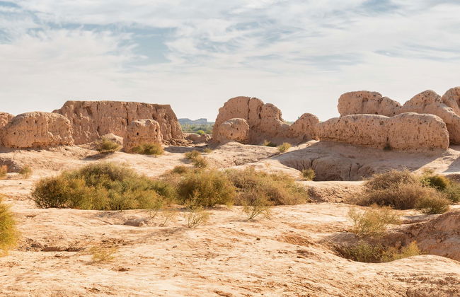 Excursion privée de 2 jours dans le désert du Kyzylkoum - Photo 1