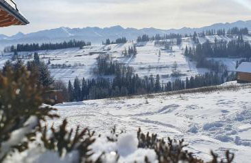 Apartament Nad Tatrzańską Pasieką - Foto 31