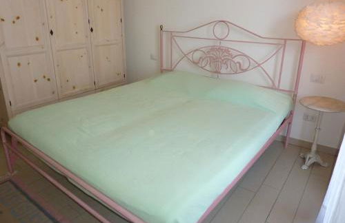 Hermitage mimosa - Photo 8