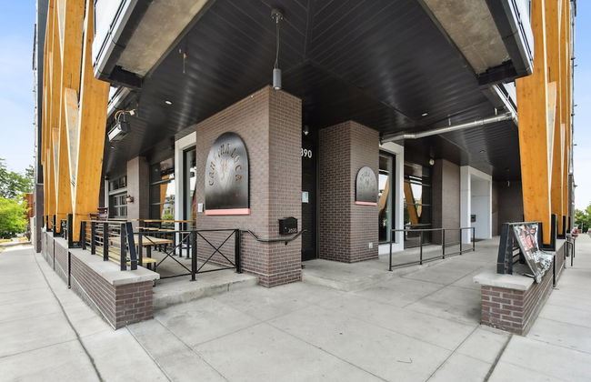 Bold & Elevated | Espadin LoHi - Foto 28