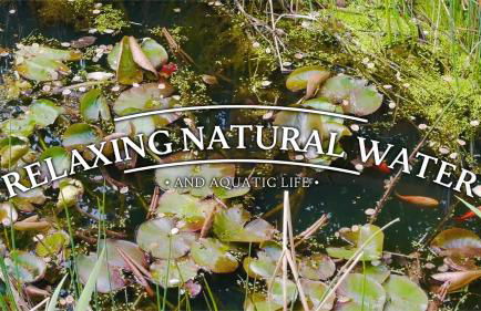 Hot Tub Luxury Glamping - Private Stargazing Patio - Foto 39