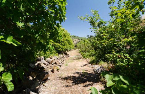 Moinho da Capela - Foto 33