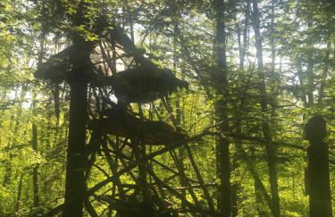 Das wilde Auwaldhaus - Foto 6