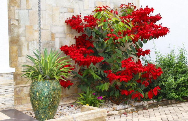 Ecoair Apartment Hotel - Foto 51