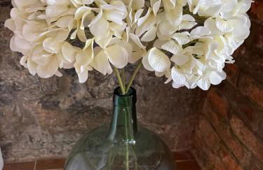 Casa vacacional Escuela la Llera - Foto 25