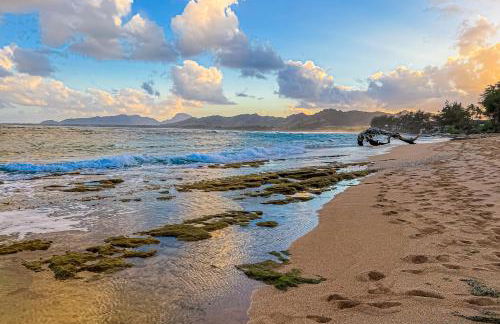 Plantation Hale C1 - Foto 17