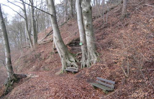 Ferienwohnung in der Vulkaneifel - Photo 25