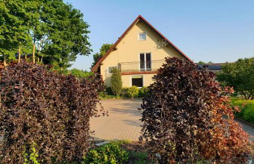 Gospodarstwo Agroturystyczne Damroka - Foto 1