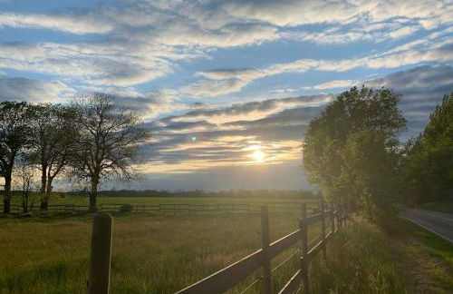 Landidyll - Bauernhaus Ländchen Bellin - Photo 56