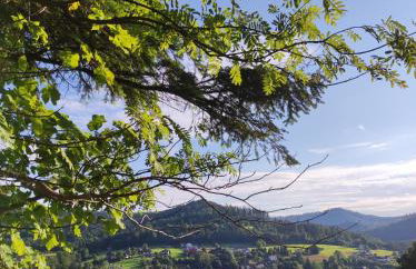 Domki Wichrowe Wzgórze - Foto 16