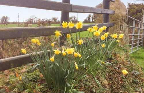 Cottage Uk43040 - Photo 19