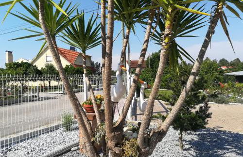 O Nosso Cantinho - Foto 7