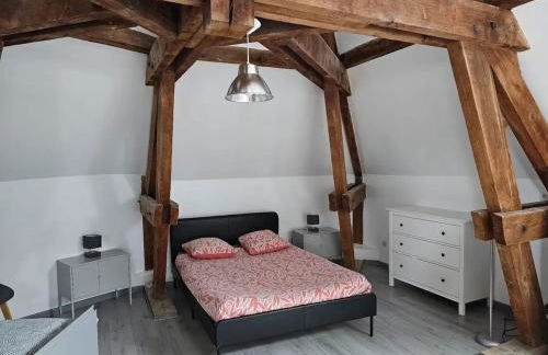 Appartement charmant à Beaugency, 60 m² + Douche moderne - Photo 16