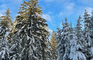 Alt Monjoie - Foto 34