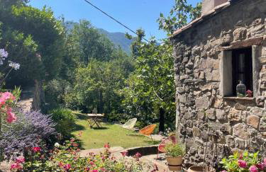 Adorable gîte - Le figuier - Foto 1