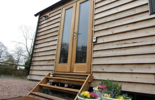 Cosy Owl - Shepherds Hut - Foto 5