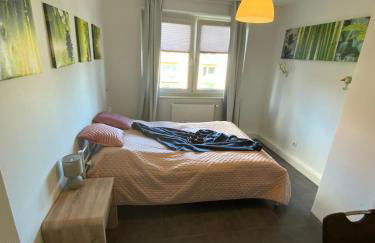 Luminous apartment in Kehl near Strasbourg, conveniently located next to a tram stop with direct access to Strasbourg city centre - Foto 17