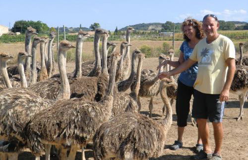 Les Roulottes-Gîtes de la Ferme de l'Autruche Dromoise - Foto 17