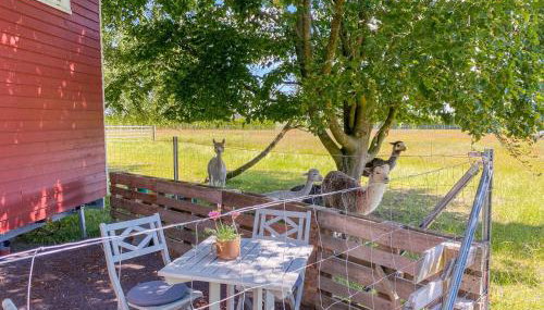 Tiny House auf der Alpaka Farm - Foto 4